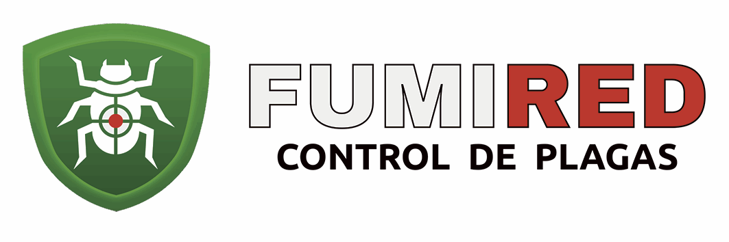 cropped logo hor chico web